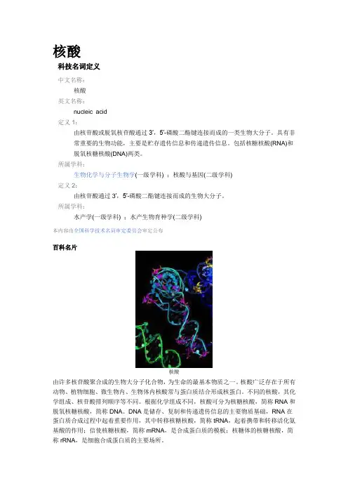 核酸