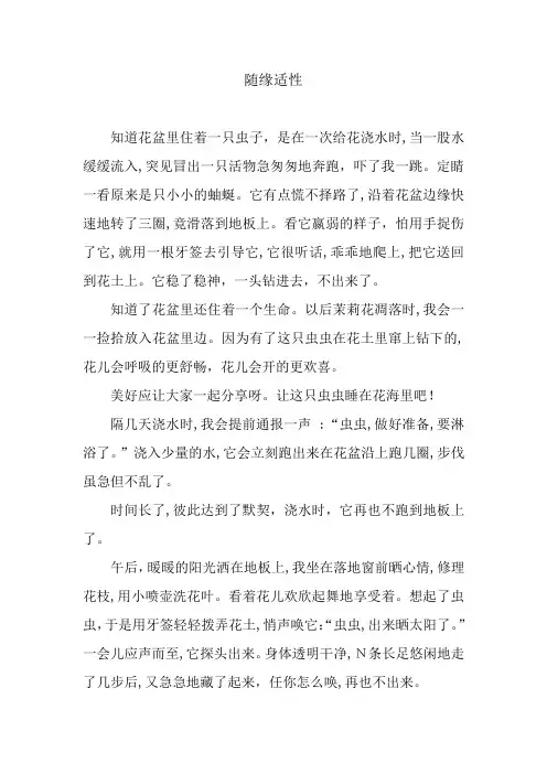 随缘适性