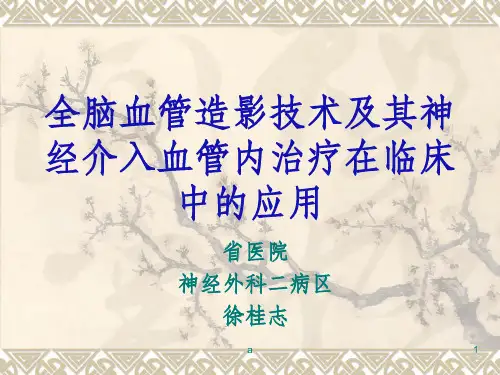 全脑血管造影技术