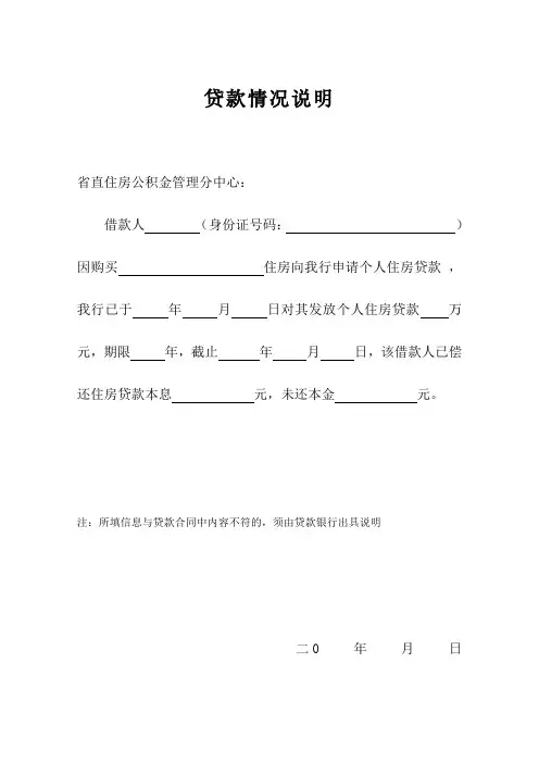 贷款情况说明