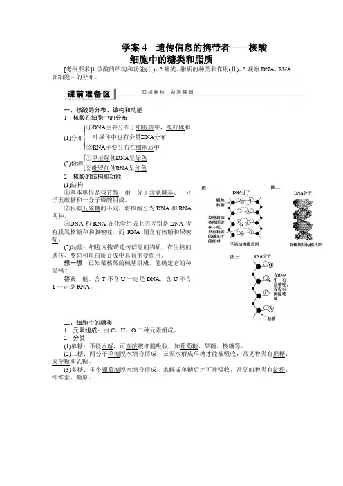 第一单元 学案4 遗传信息的携带者——核酸细胞中的糖类和脂质