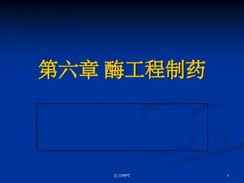 《酶工程制药一》PPT课件