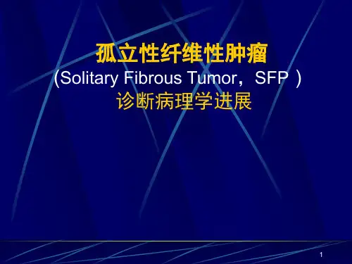 孤立性纤维性肿瘤诊断病理学进展精品PPT课件
