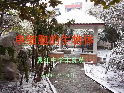 单细胞生物