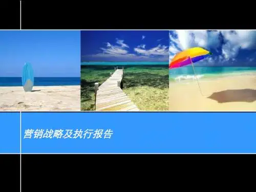 地产营销战略及执行报告动态PPT模板