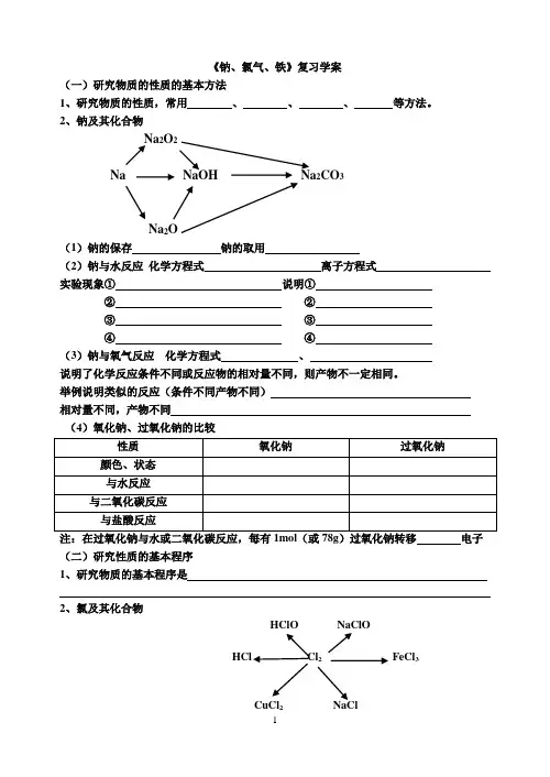 钠、氯、铁复习学案