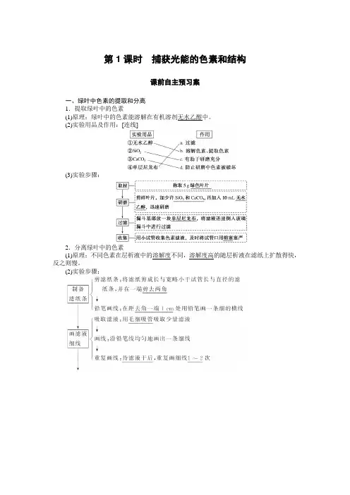 高中生物人教版必修1 5.4.1 捕获光能的色素和结构 学案