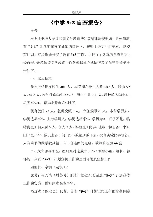 《中学9+3自查报告》
