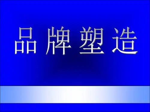 市场总监培训教材:品牌塑造