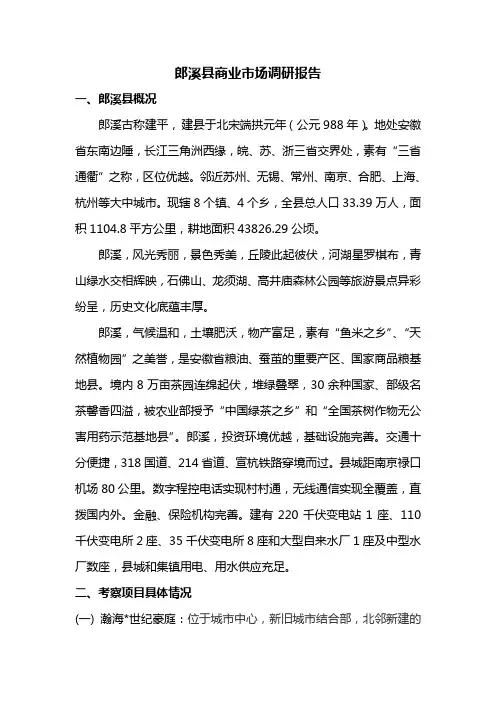 郎溪县商业市场调研报告(2011.5)