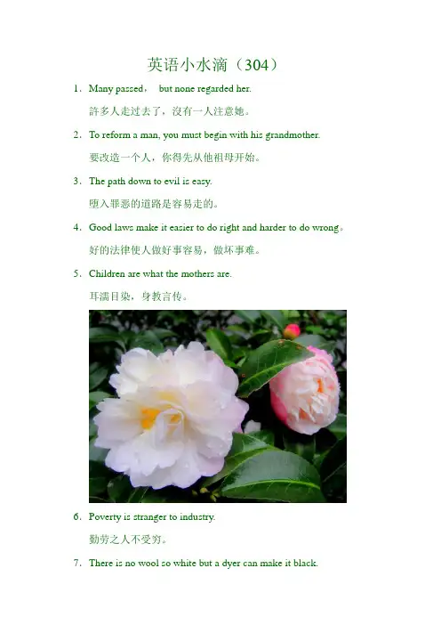 英语小水滴(304)