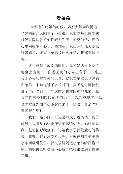看弟弟