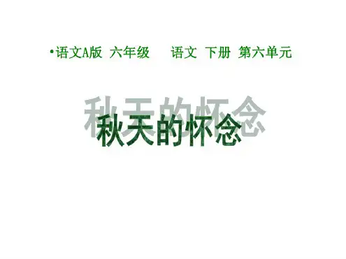 六年级语文秋天的怀念1