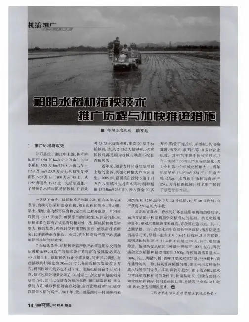 祁阳水稻机插秧技术推广历程与加快推进措施