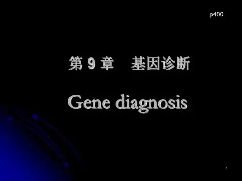基因诊断课件