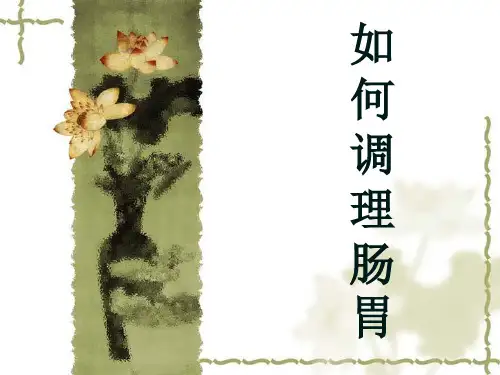 如何调理肠胃 PPT课件
