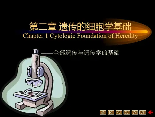 医学遗传学+第二章+遗传的细胞学基础
