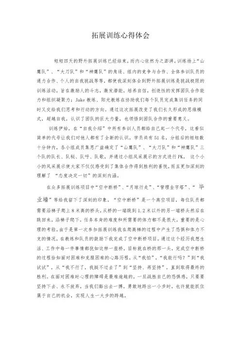 拓展训练心得体会 2