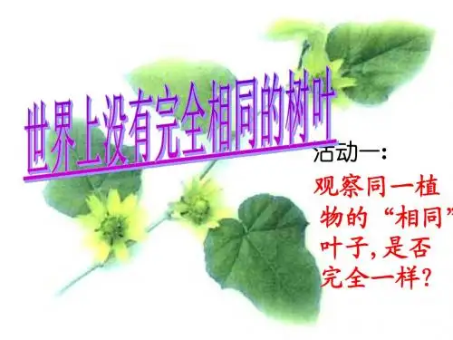 七年级政治人类生命的独特性1
