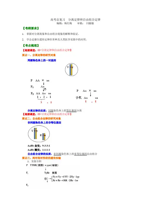 高中生物42总复习：分离定律和自由组合定律-知识讲解_分离定律和自由组合定律 2