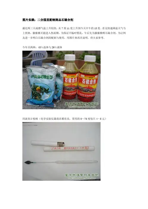 石硫合剂