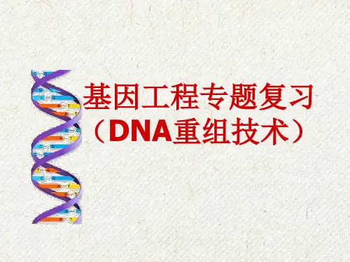 高三《基因工程》专题复习(共126张PPT)