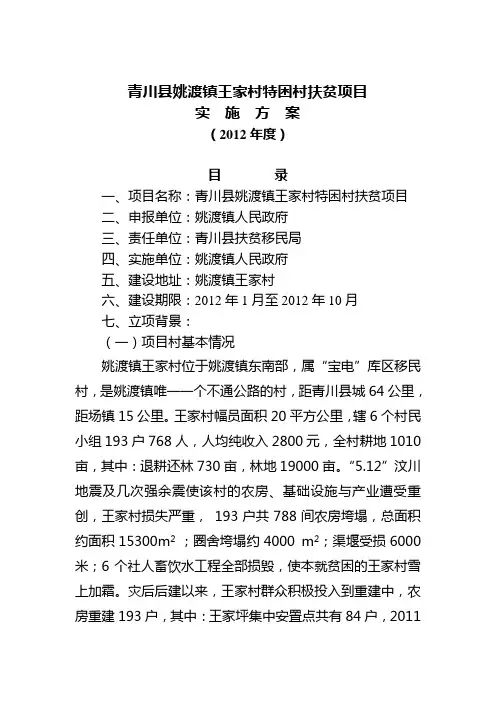 特困村扶贫项目实施方案