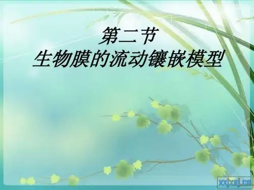 流动模型