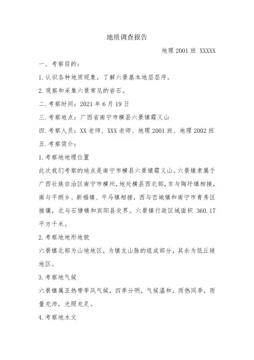 地质调查报告