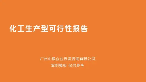 化工生产型可行性报告范本模板