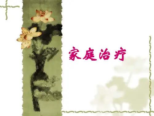 家庭治疗 PPT课件