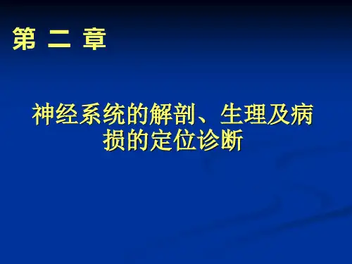 第二章解剖、生理、定位诊断 第一节中枢神经 (1)