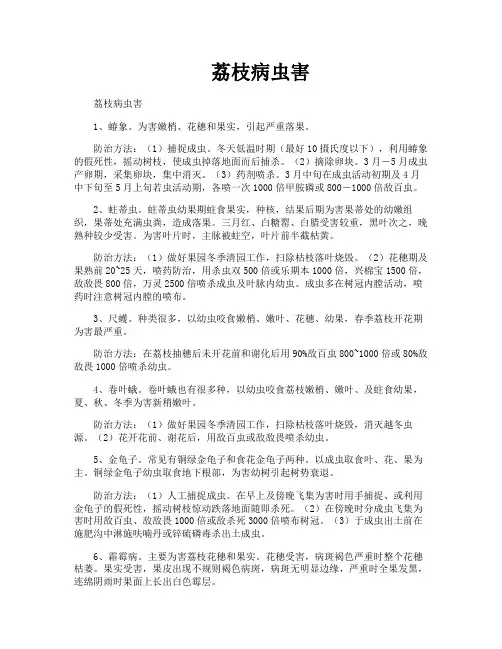 荔枝病虫害