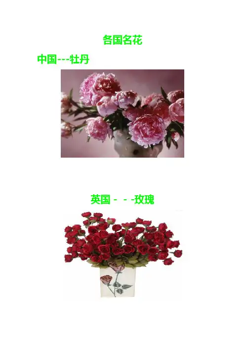 世界各国名花