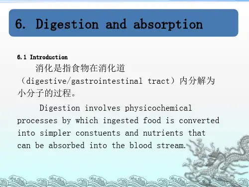 动物生理学6消化与吸收一