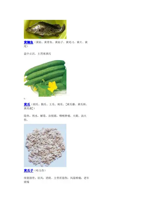 3000种中医药材第901-1000种