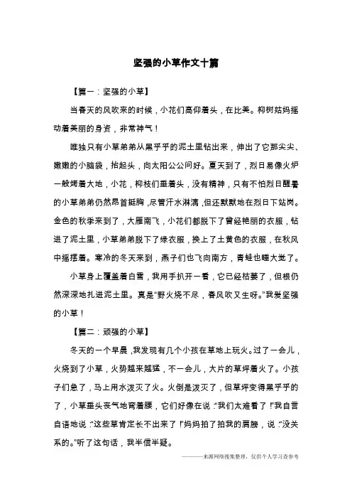 坚强的小草作文十篇