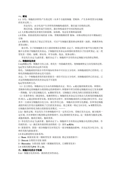 发育生物学重点