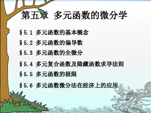经济数学第五章多元函数