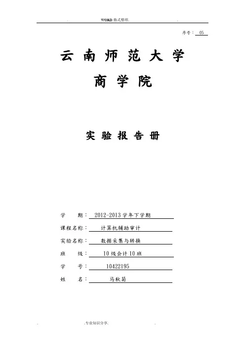 计算机辅助审计实验报告