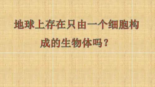 人教版 生物 七年级 上册2.2.4 单细胞生物课件(52张ppt)