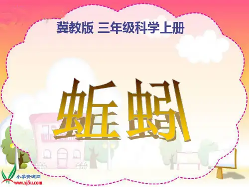 (冀教版)三年级科学上册课件 蚯蚓