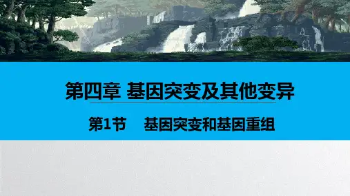 (人教版)基因突变和基因重组ppt完美版1