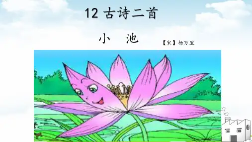 小池教学教材PPT1
