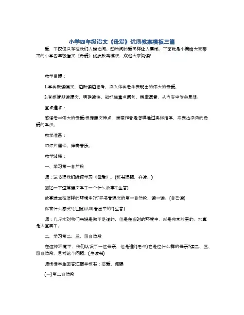 小学四年级语文《母爱》优质教案模板三篇