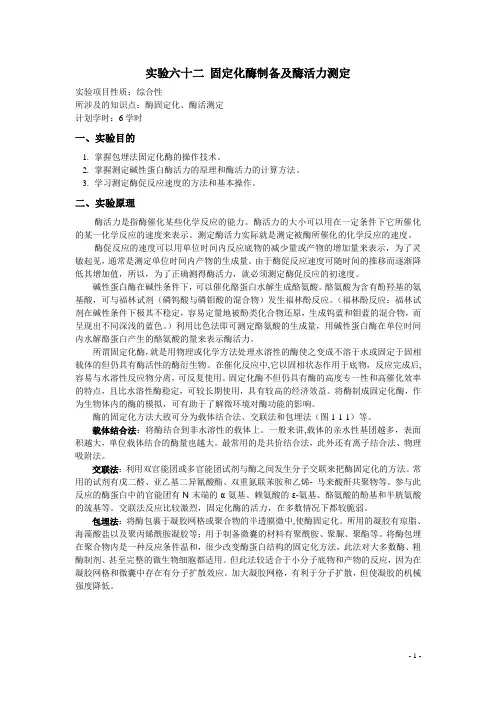 实验六十二固定化酶制备及酶活力测定