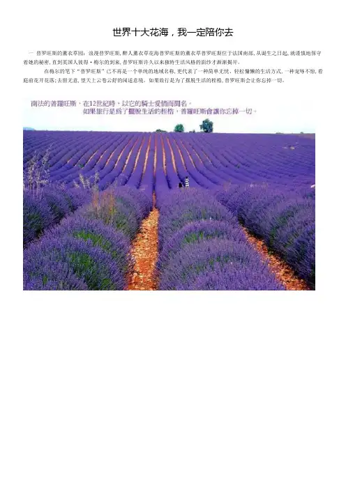 世界十大花海,我一定陪你去