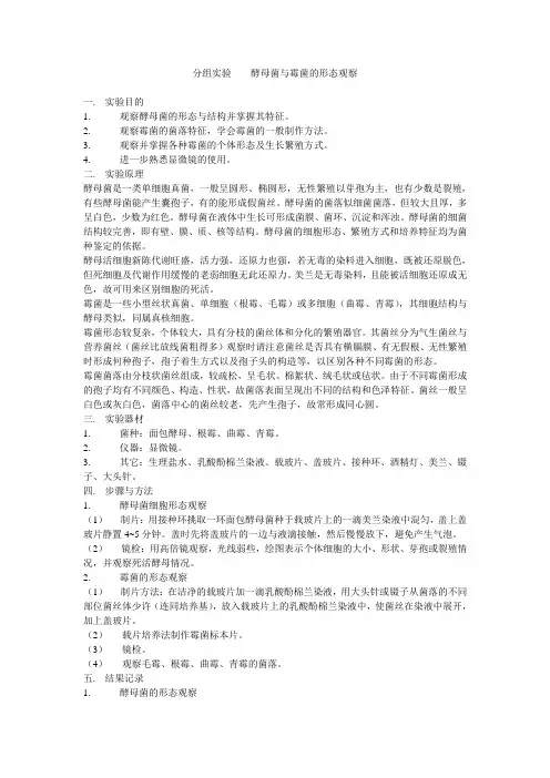 分组实验    酵母菌与霉菌的形态观察