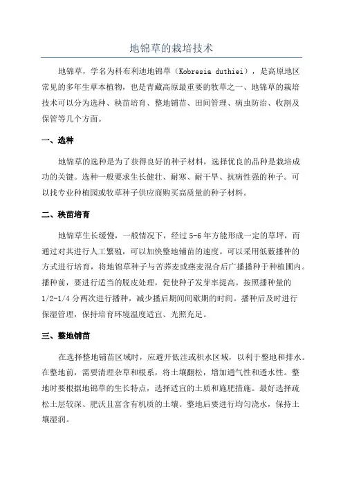 地锦草的栽培技术