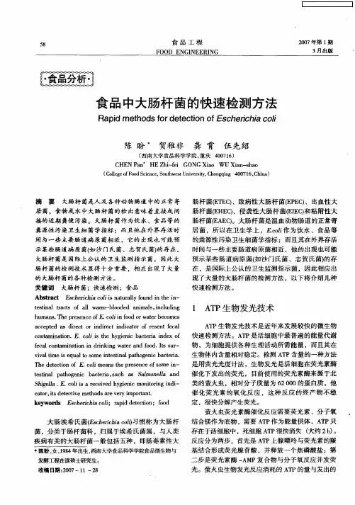 食品中大肠杆菌的快速检测方法